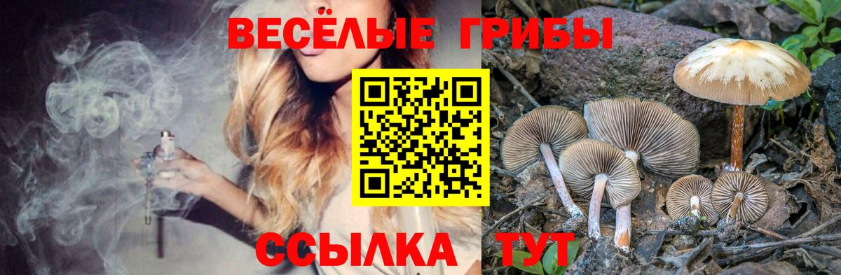 что такое   Псилоцибиновые грибы Magic Shrooms  Вход с VPN  Лабытнанги 